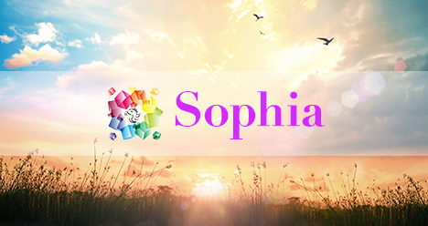 Sophia公式サイトをリニューアルしました。